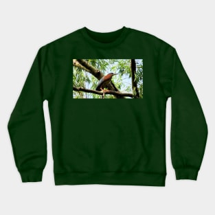 Green Heron-2 Crewneck Sweatshirt